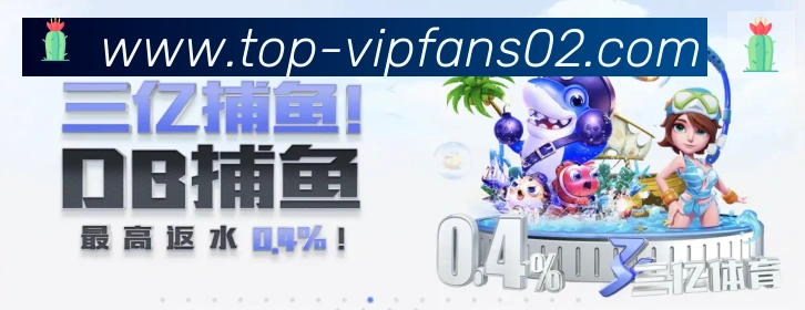 B体育荣誉