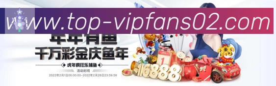B体育荣誉