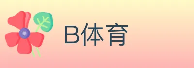 B体育 logo